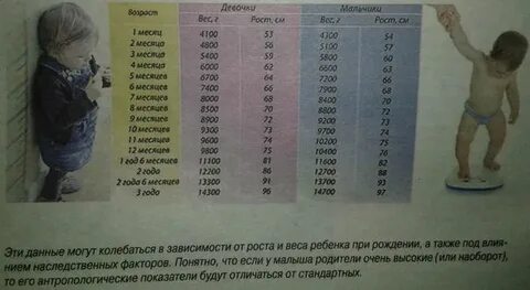 Вес 7 кг в 1 год