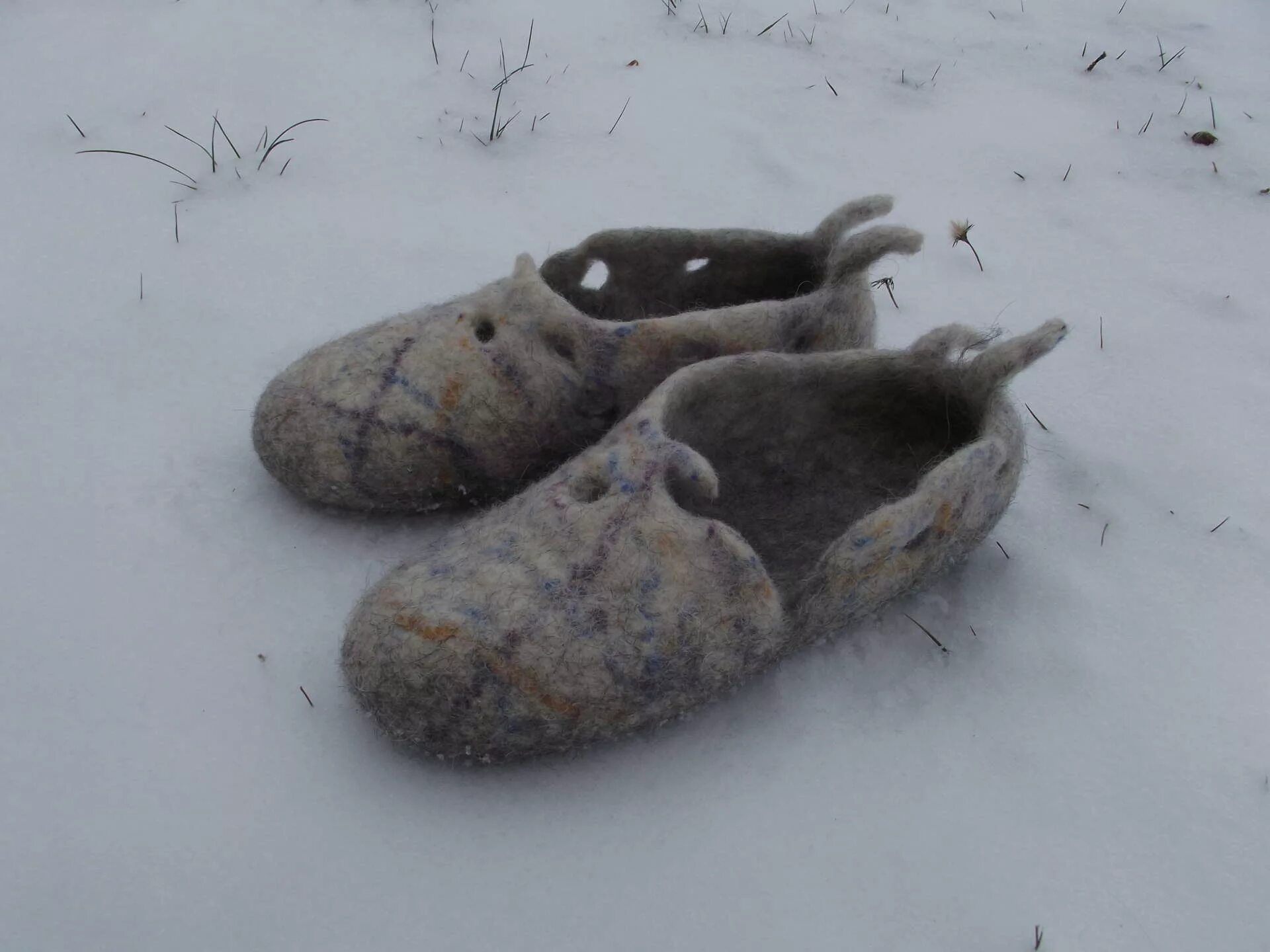 Валенки моль. Моль в валенках. моль съела валенки. моль поела валенки.
