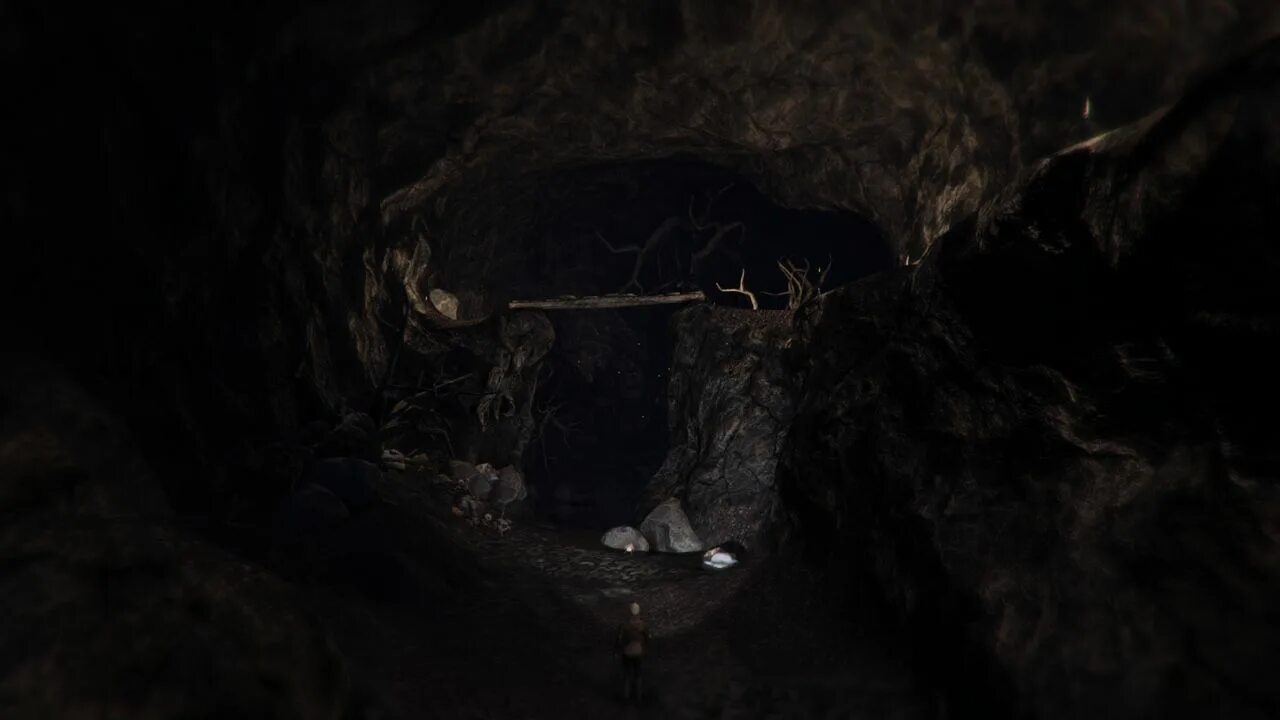 The woods play
