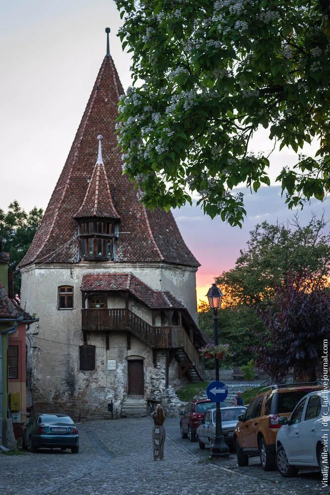 Историческая родина графа дракулы. Замок Дракулы Сигишоара. Румыния Родина графа Дракулы. Родина Дракулы город.