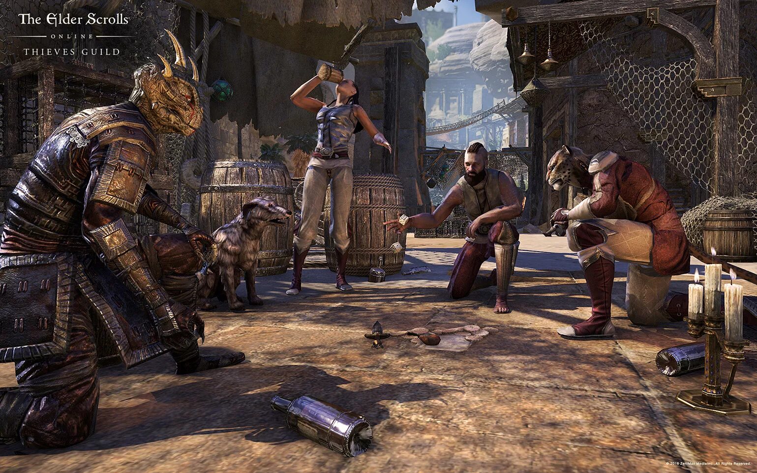 The elder scrolls каджитка. Teso thief. Teso thief. Teso thief. Teso темное братство.