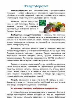 Условия способствующие заражению псевдотуберкулезом