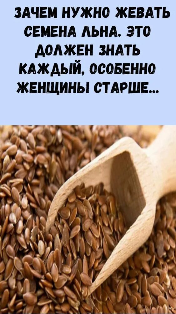 Что будет если есть лен каждый день. Семена льна. Льняные семена. Семена льна в еде. Семена льна полезные.