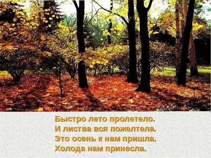 Быстро пролетело жаркое лето