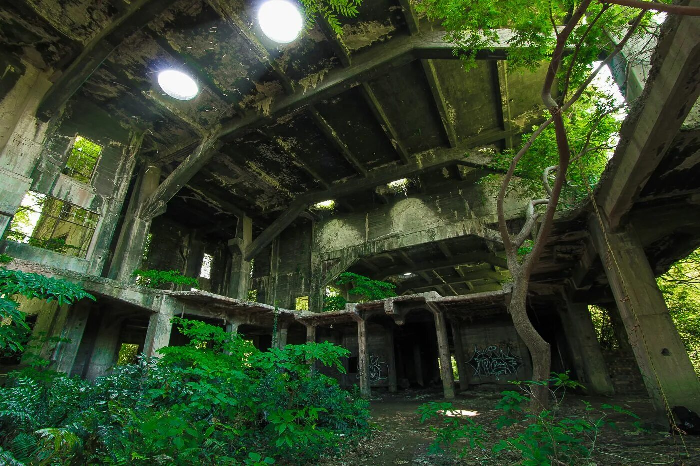 Photographer Johnny Joo Captures Forgotten Structures Overtaken By Nature Abando