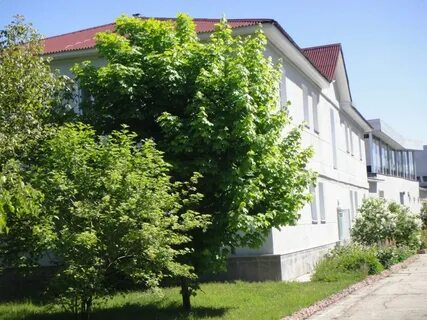 Госрезиденция иссык куль