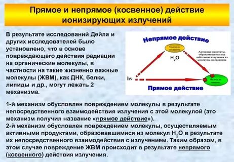 Прямые и косвенные результаты
