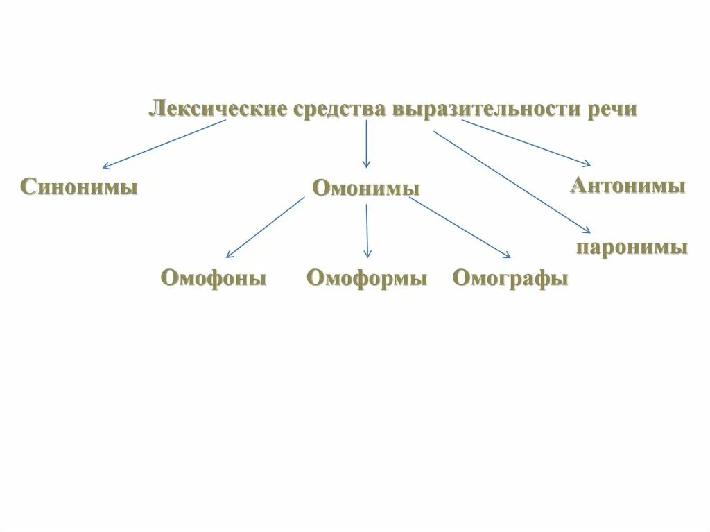 Лексические средства выразительности. Лексические средства выразительности речи. Омонимы паронимы омографы омофоны. Омонимы антонимы синонимы паронимы омографы. Лексика лексические группы