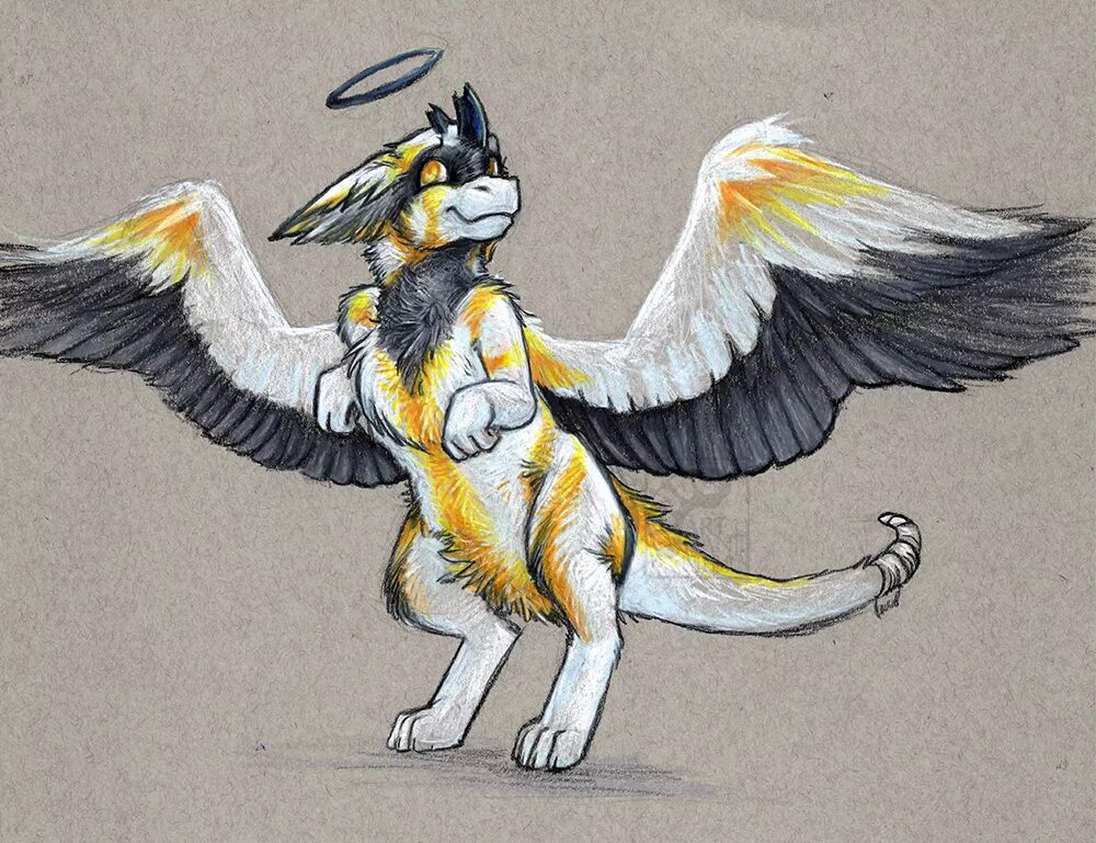 Фурсьют ангельский дракон арт. Датский ангельский дракон. Фурри энджел драгон. Ангельский дракон. Фурри ангельский дракон.