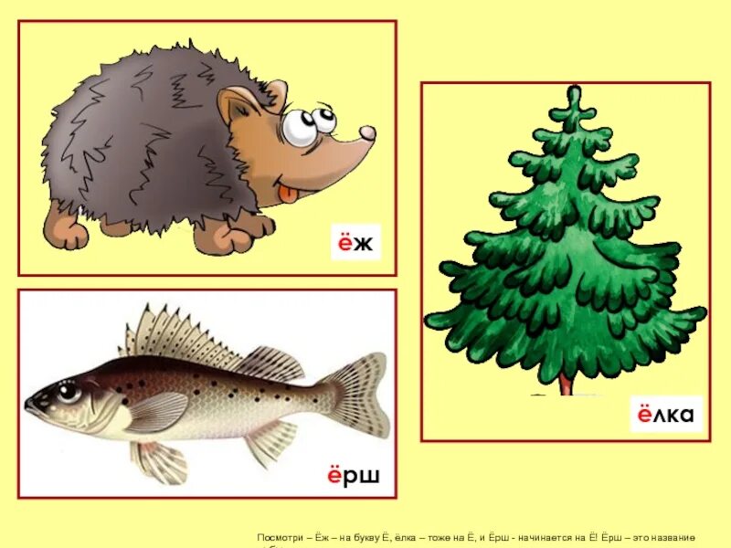 Слова на букву е. Слова на букву е для детей. Предметы на букву е для детей. Слова на букву е в начале. Ель слоги звуки