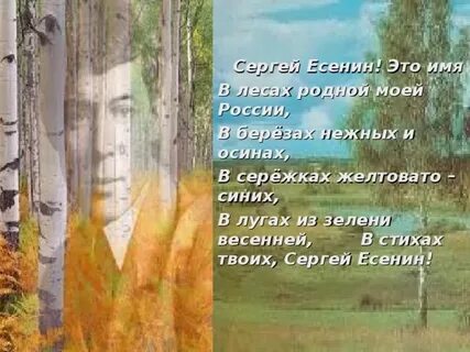Есенин лес стихотворение