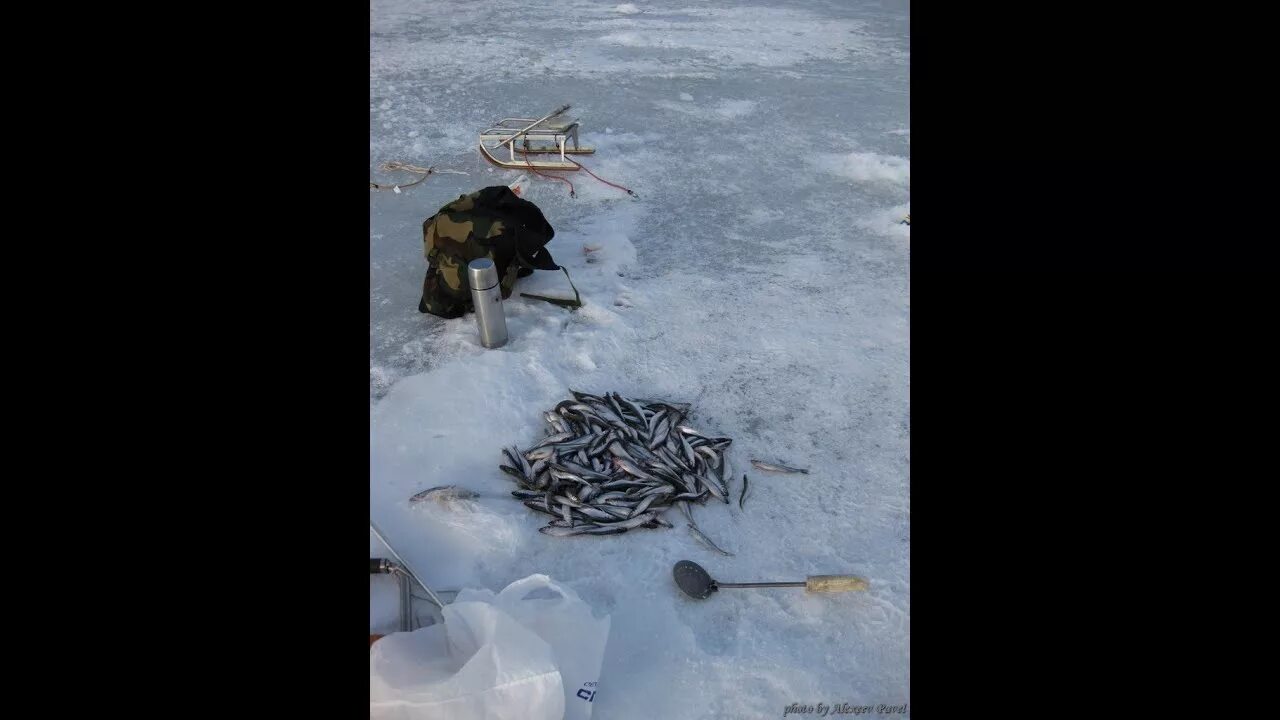 Ушково корюшку. Рыбалка на корюшку зимой. Зимняя рыбалка за корюшкой. Ловля корюшки на финском заливе весной.