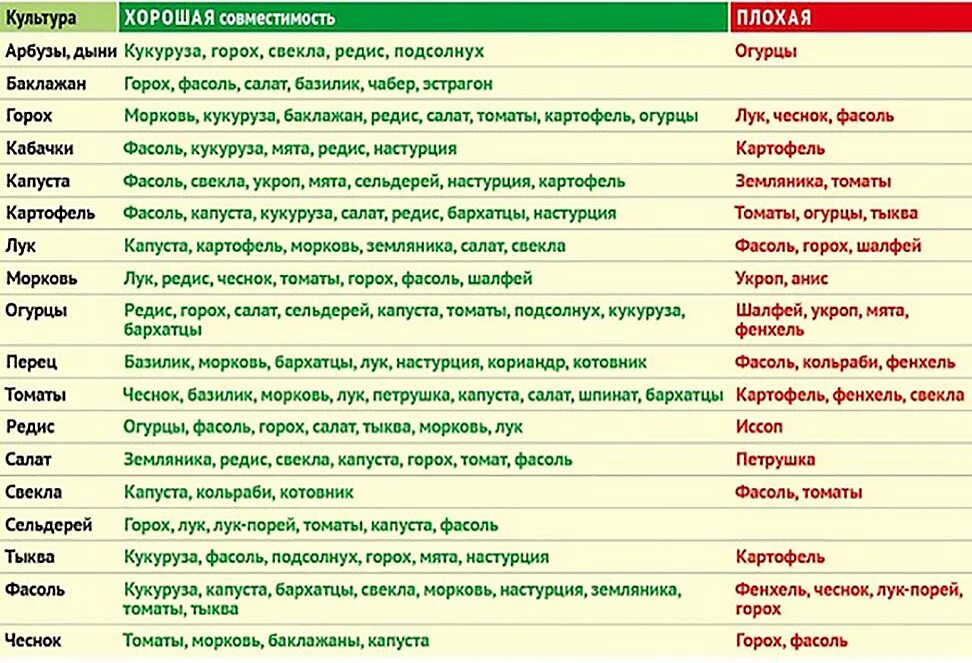 Соседство ростов. Совместимые посадки овощей в огороде таблица. Совместимость овощных культур при посадке таблица. Совместимость посадок овощей на грядках таблица. Совместимость огородных культур на грядке таблица.