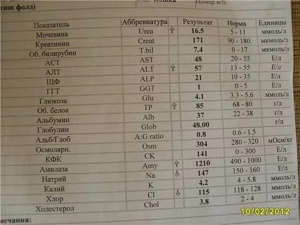 Алт аст глюкоза. Норма показателей биохимического анализа. Биохимия показатели нормы. Как расшифровать анализ крови на биохимию. Показатели биохимии крови расшифровка у взрослых.