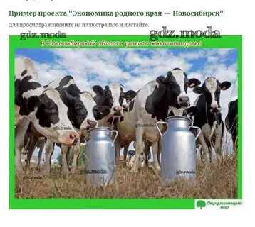 Экономика родного края новосибирск