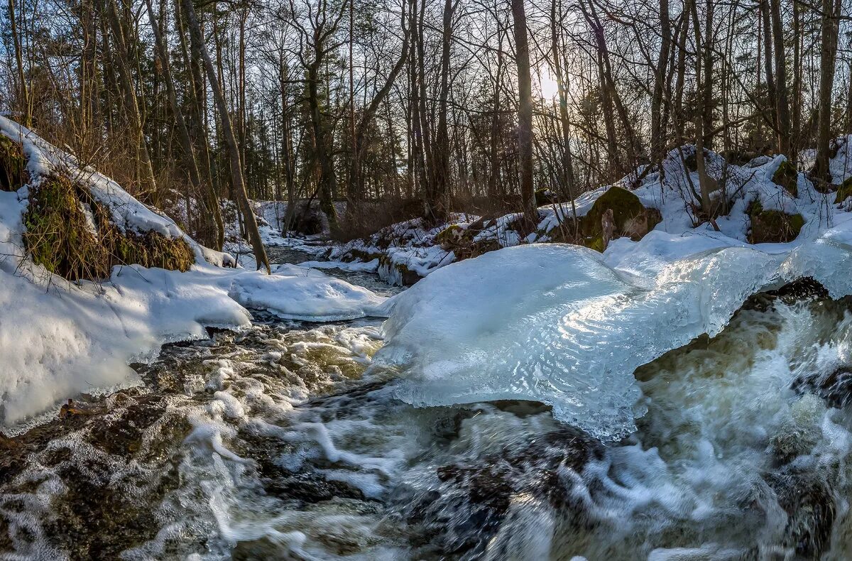 Весенние ручьи. Талая вода. Таяние снега. Весенние воды. Талые воды весной