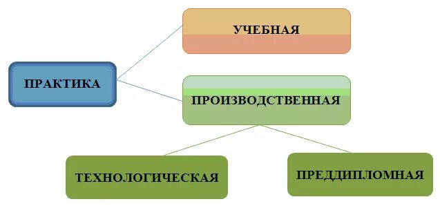 Виды практики. Вид и Тип практики. Виды практики студентов. Вид производственной практики. Учебная практика тип практики