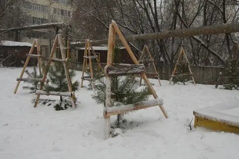 Укрепление ели