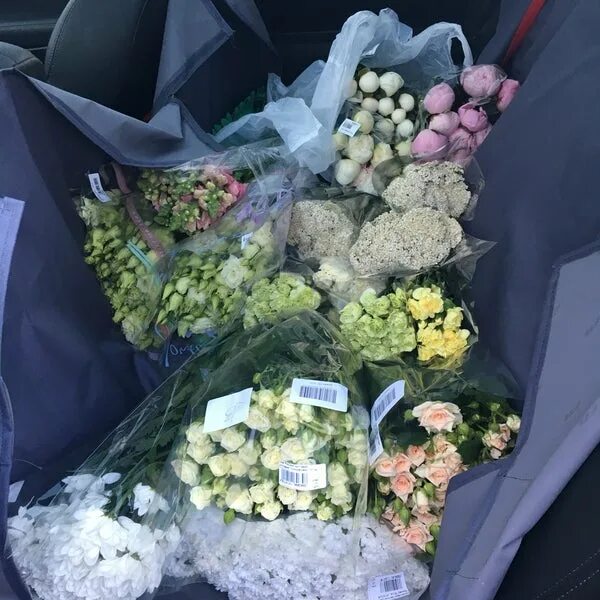 Photos at FLOREVILLE - Бирюлёво Западное - 10 tips