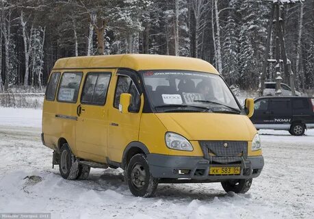 Поставь газель