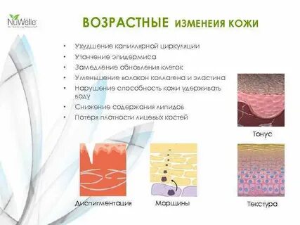 Способность удерживать воду