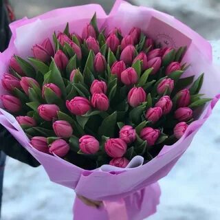 Букет тюльпанов москва