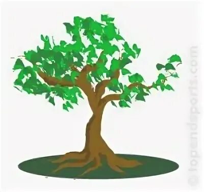 Blue my mind. Greenstree. Tree application. Greenstree. Greenstree.