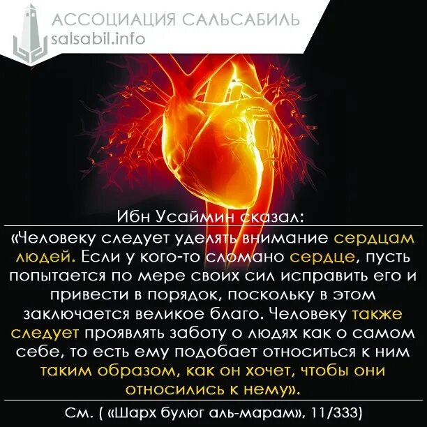 Хадис о сердце. Исламские цитаты. Черствость сердца в исламе. Хадис про благие дела. Добрые дела в исламе.
