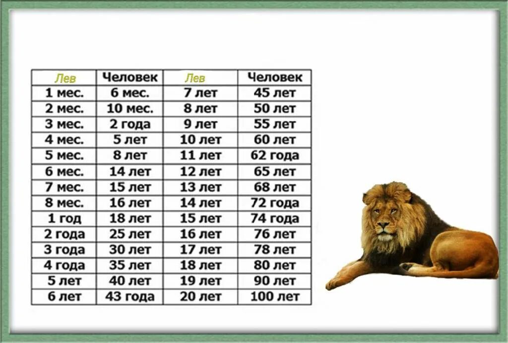 Левы с какого числа. Левы с какого числа