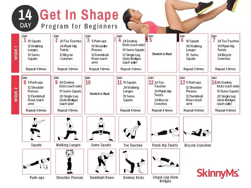 Program 30. Fitness program. training program for beginners. workout program for beginners. fitness exercises for beginners.