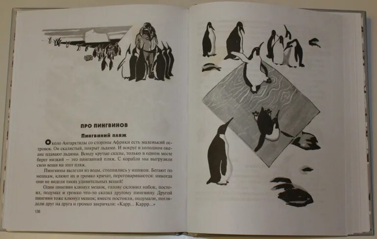 Пересказ рассказа г снегирева про пингвинов. Г Снегирев про пингвинов иллюстрации. Снегирев про пингвинов. Снегирев про пингвинов читать. Рассказ про пингвинов Снегирев.