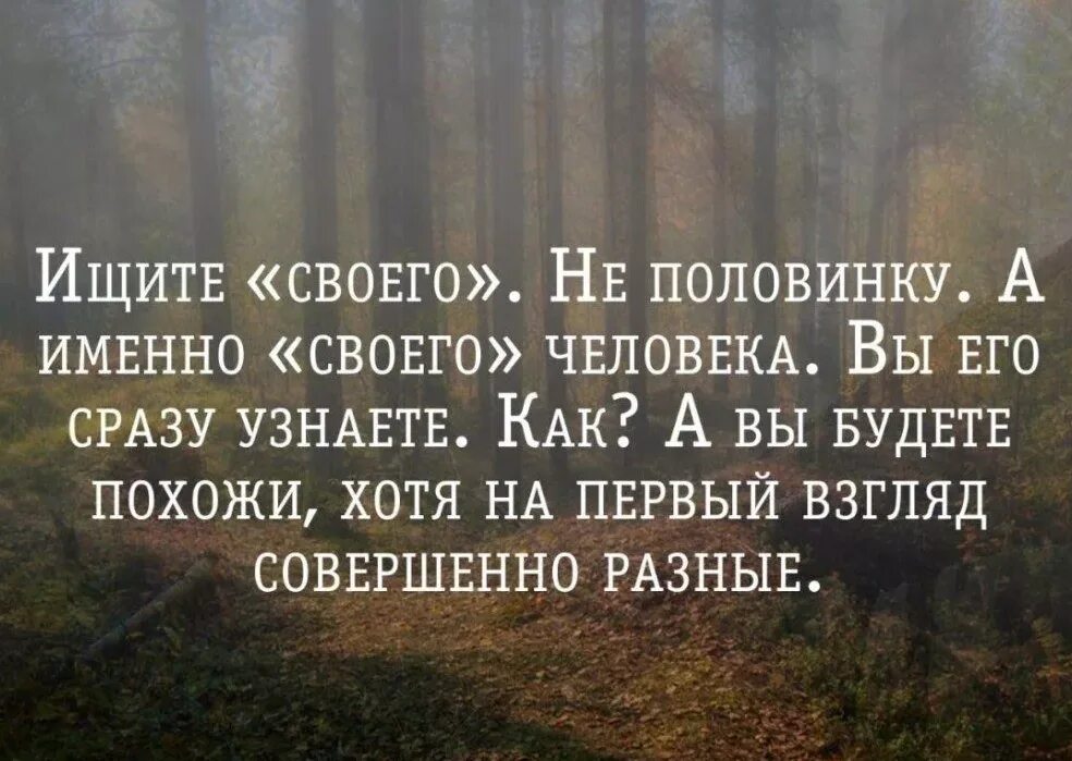 Нужно ли быть проще. Разные высказывания. Цитаты про половинки. Высказывания о второй половинке. Цитаты про вторую половинку.