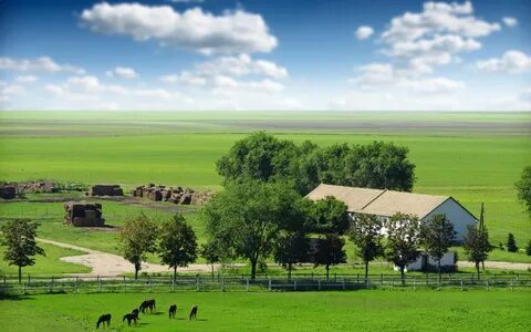 Farmland