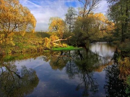 Речка тихая песня