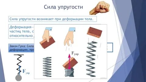 Упругость тел