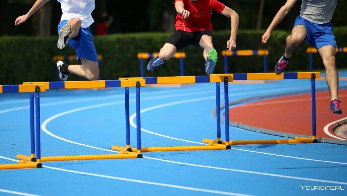 дорожка с препятствиями для детей. спортивная полоса препятствий. дорожка препятствий. дорожка препятствий для детской площадки. дорожка препятствий.