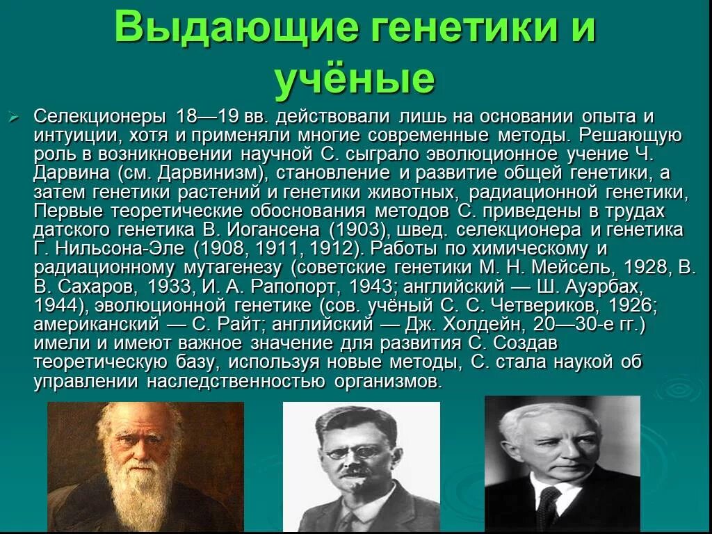 Ученые которые внесли вклад в развитие селекции. Ученые генетики. Ученые основоположники генетики. Отечественные ученые генетики.