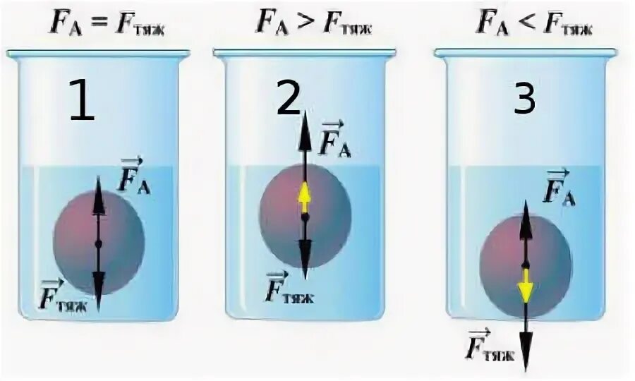 При каких условиях тело плавает внутри жидкости