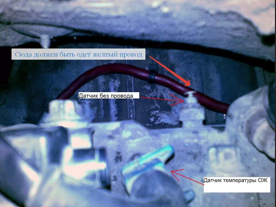 Датчик температуры фронтера. 6. 2 бензин. Датчик включения вентилятора опель фронтера. Датчик температуры опель фронтера.