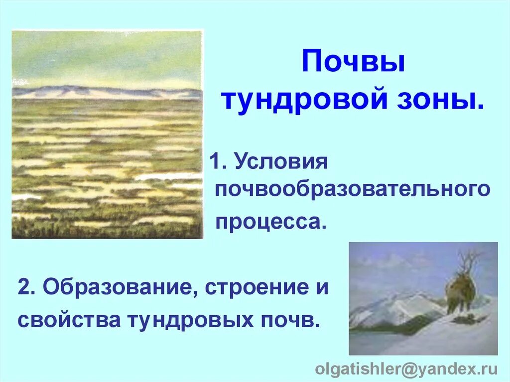 Географическое положение тундрово глеевых. Почвы тундровой зоны. тундровые почвы схема. почвенный профиль тундровой зоны. условия образования тундровой почвы.