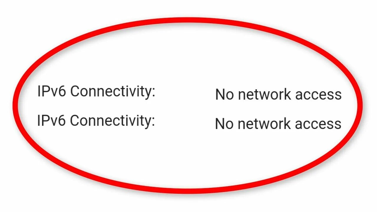 No network connection. No network. no internet connection. no connection.