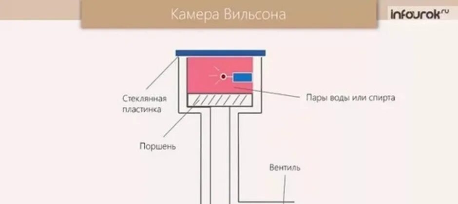 Схема устройства камеры Вильсона. Схема строения камеры Вильсона. Камера Вильсона схема установки. Камера Вильсона строение. Как работает камера вильсона кратко