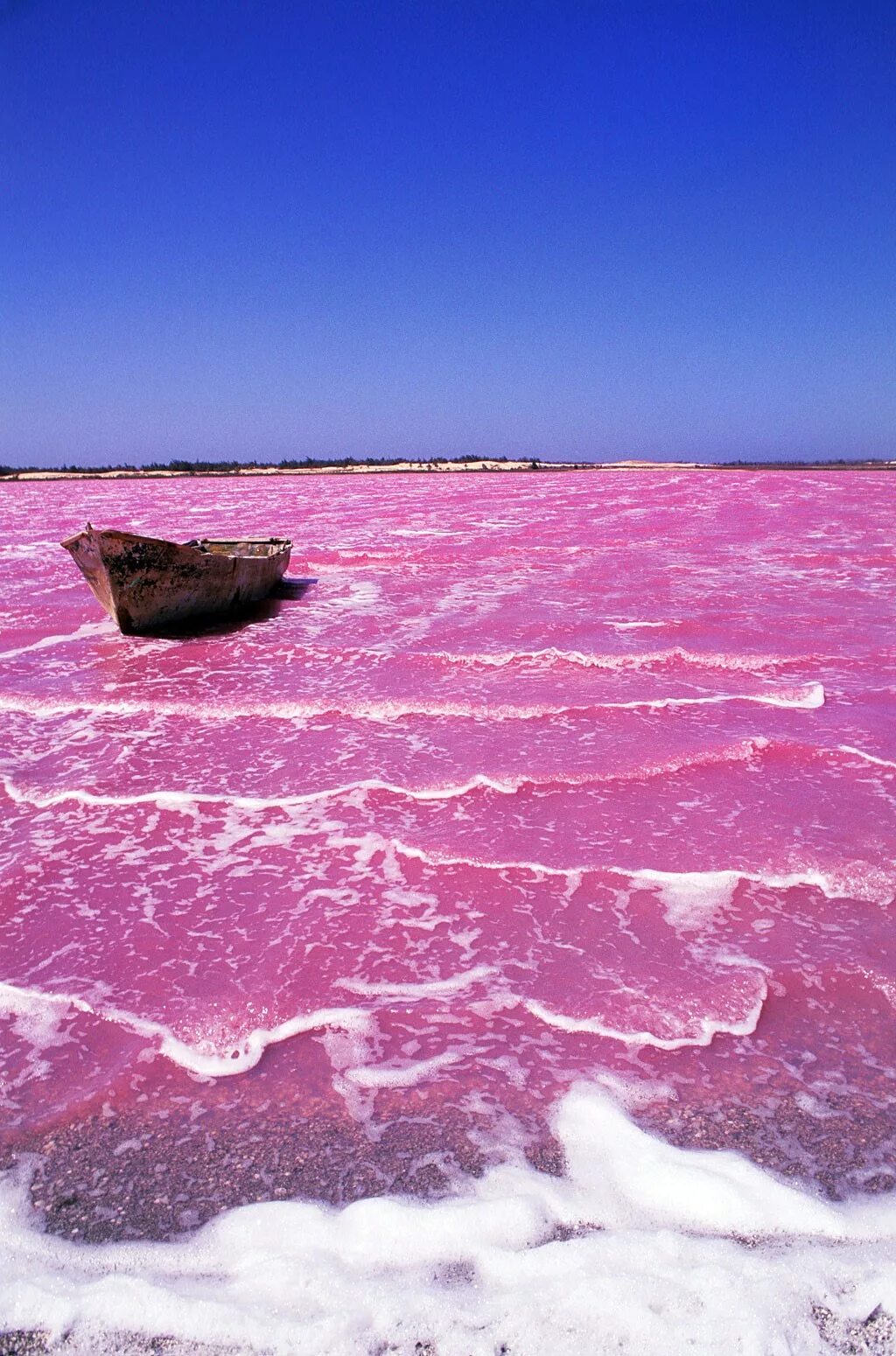 Озеро Ретба Сенегал. Ретба — розовое озеро в Сенегале.. Озеро Хиллер. Розовое озеро Хиллер Австралия. Видео про розовые