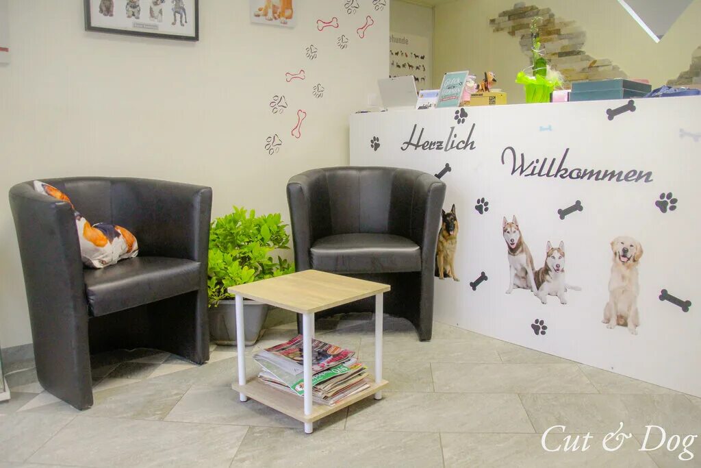 Зоосалоны балашихи. Проспект мира 102 груминг. Зоосалон москва. Зоосалон старая купавна. Зоосалон с синими стенами.