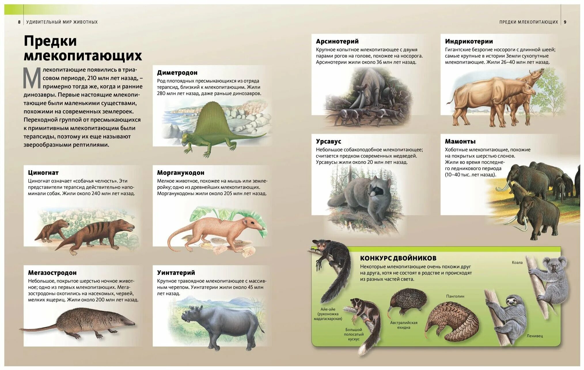 Опорный конспект по биологии 7 класс внешнее строение млекопитающих. Наиболее существенные эволюционные приобретения млекопитающих. Таблица внутреннее строение млекопитающих 7 кл. Размножение млекопитающих. Эволюция млекопитающих.