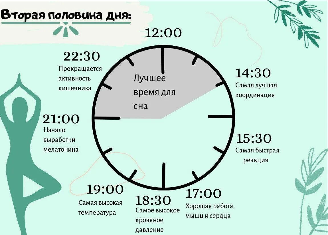 До которого часа можно купить. Лучшее время для сна. Биологические часы. Биологические часы сна. Циркадные биоритмы человека.