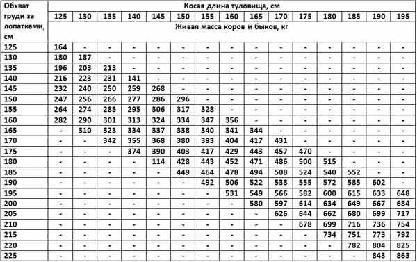 Таблица измерения крупного рогатого скота живым весом. Таблица измерения Быков живым весом рулеткой. Таблица замера КРС живым. Таблица КРС живой вес быка.