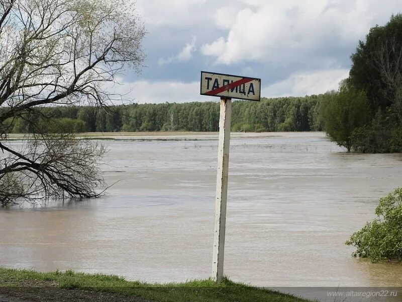 Село Талица Алтайский край. Село Кокши Алтайский край. Село Шульгинка Алтайский край. Село Кокши Советский район Алтайский край. Погода кокши алтайский край