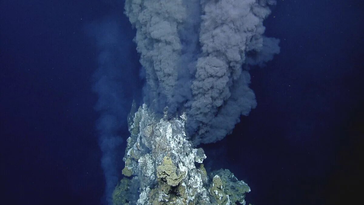Море в котором горел сероводород. Подводный вулкан Кавио барат. Адамс (подводный вулкан). Черные курильщики в тихом океане. Гидротермальные источники черные курильщики.