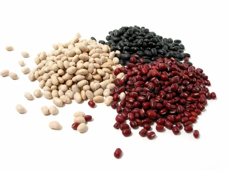 Mock bean